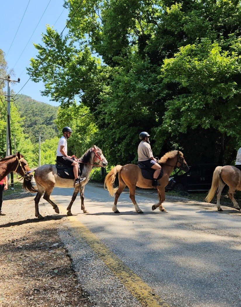 Marmaris Pınar At Safari Turu