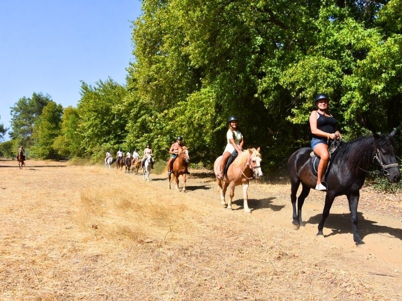 Orman Safari Parkuru (1 saat)