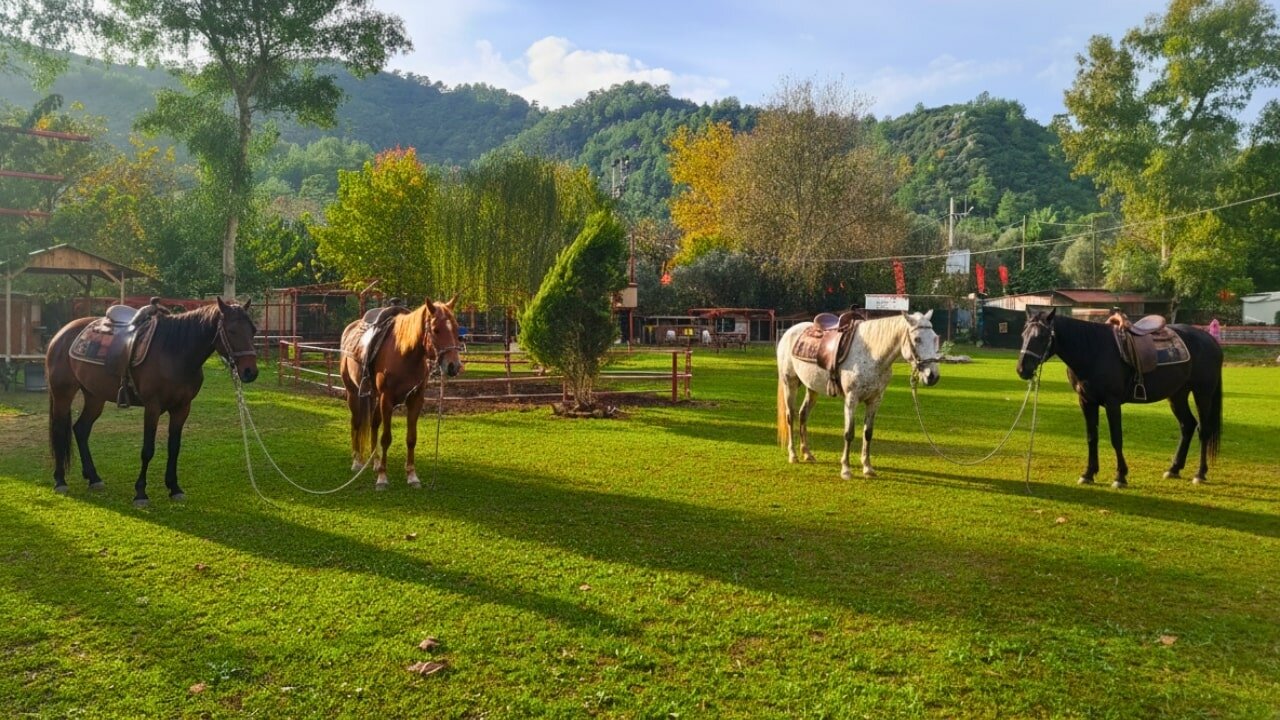Marmaris Pınar At Safari Turu