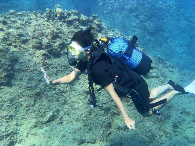 Alanya Kıyılarında Bir Günlük Su Altı Molası