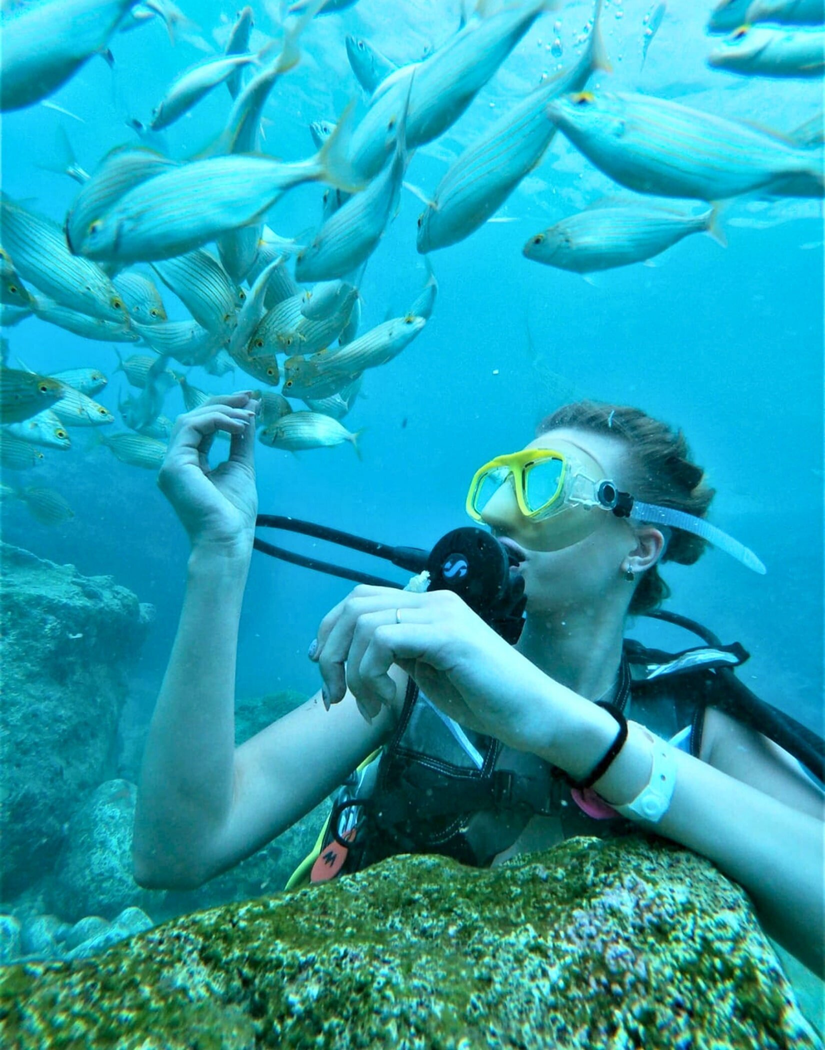 Kemer Dalış Turu