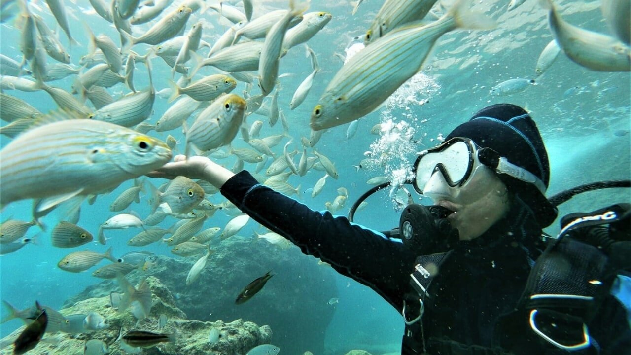 Kemer Dalış Turu