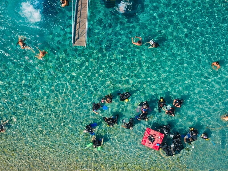 Dalyan Koyu | İlk Dalış (5 metre, 20 dakika)