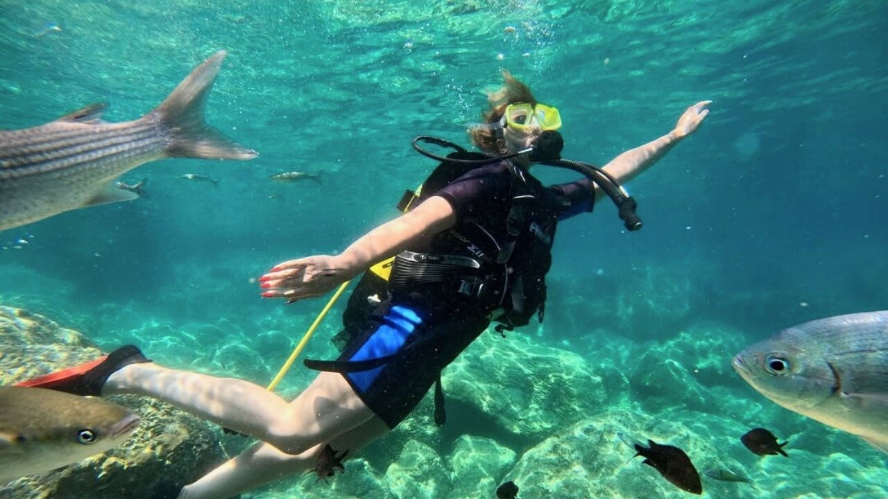 Marmaris Barakuda Dalış Turu