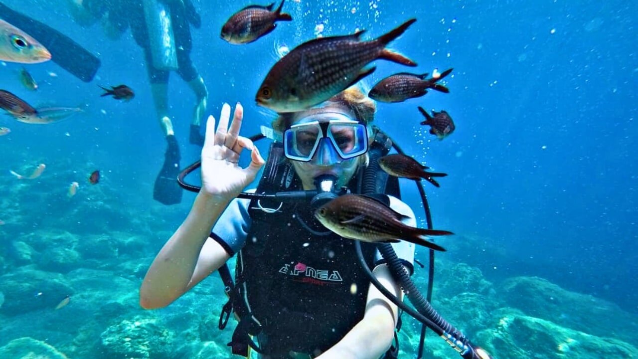 Marmaris Barakuda Dalış Turu